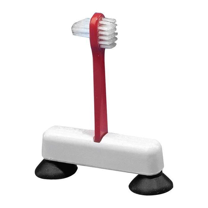 Suction Denture Brush