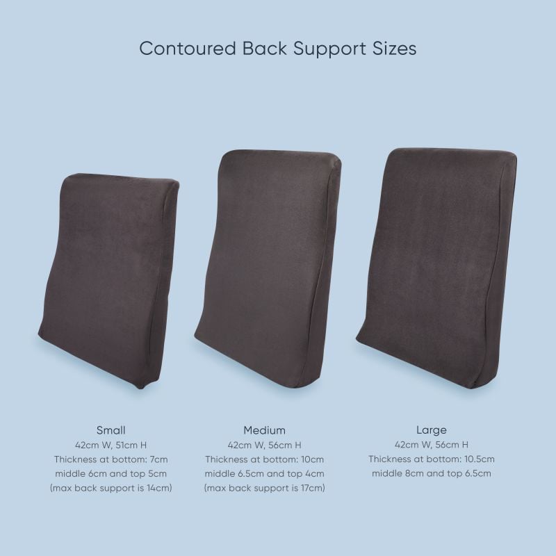 Contoured Back Support - Multiple Sizes