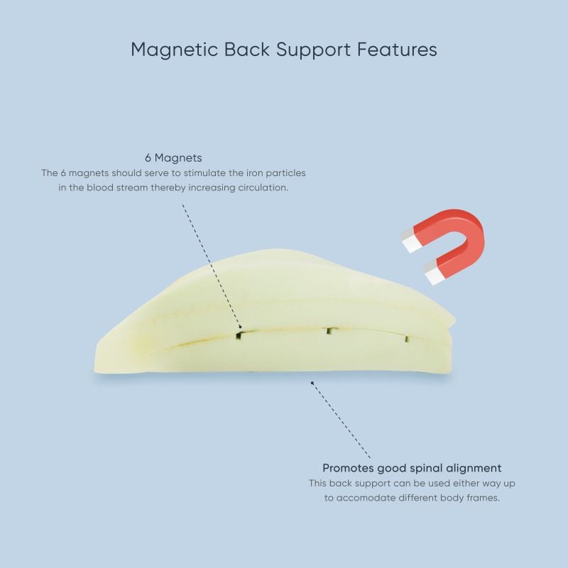 Magnetic Back Support