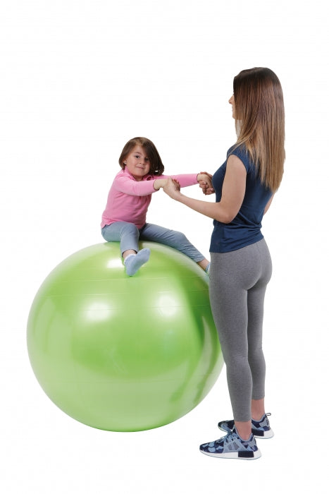 Gymnic Physio Plus Ball