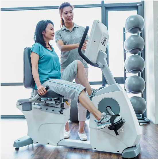 Dyaco 4.0R PT Recumbent Bike