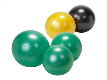 Gymnic Plus Fit Ball