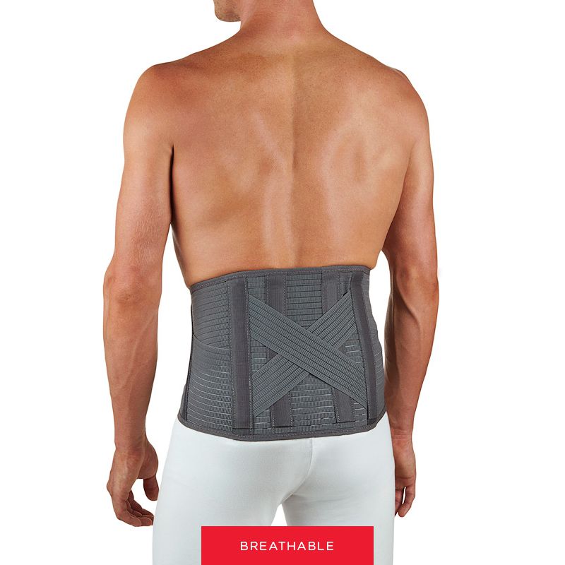 Solari Back Support