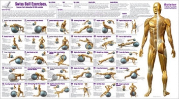 Swiss Ball Exercise Chart