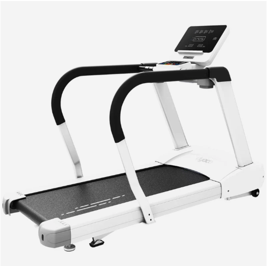 Dyaco 4.0T PT Treadmill