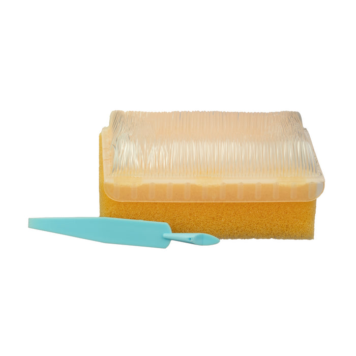 Sensory Brushes, Molded Scrub Brush 6-pack